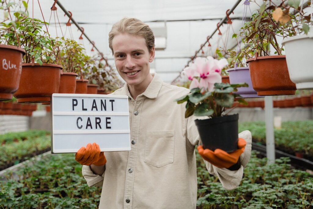 plant care banner image