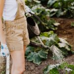 watering plants pic